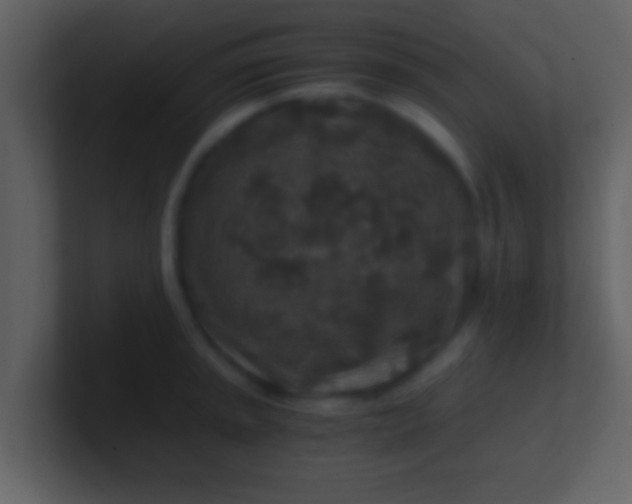 X0000100901045200807081058