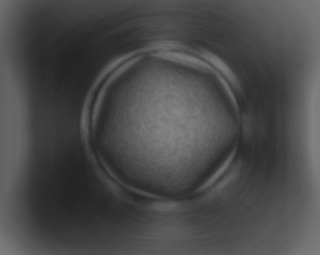 X0000100901046200807081058