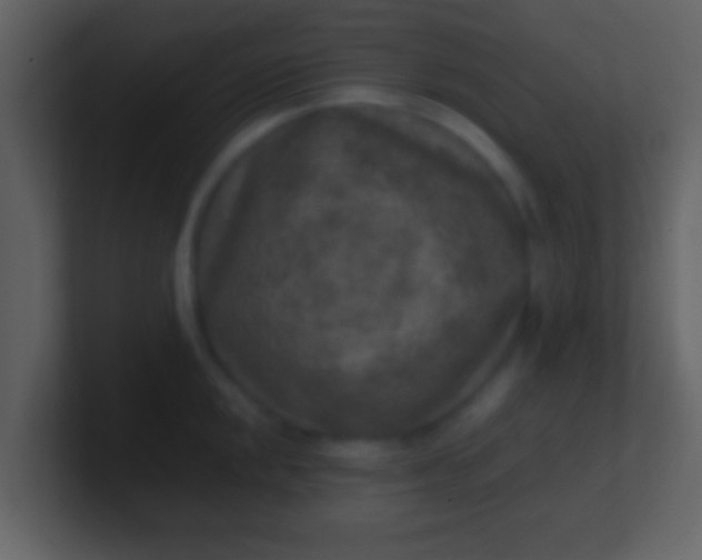 X0000100901048200807081058