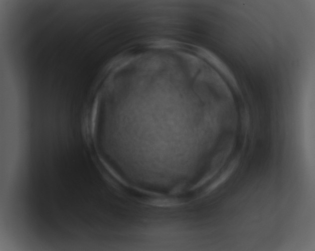 X0000100901049200807081058