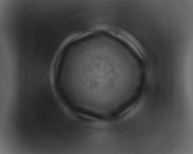 X0000100901050200807081058