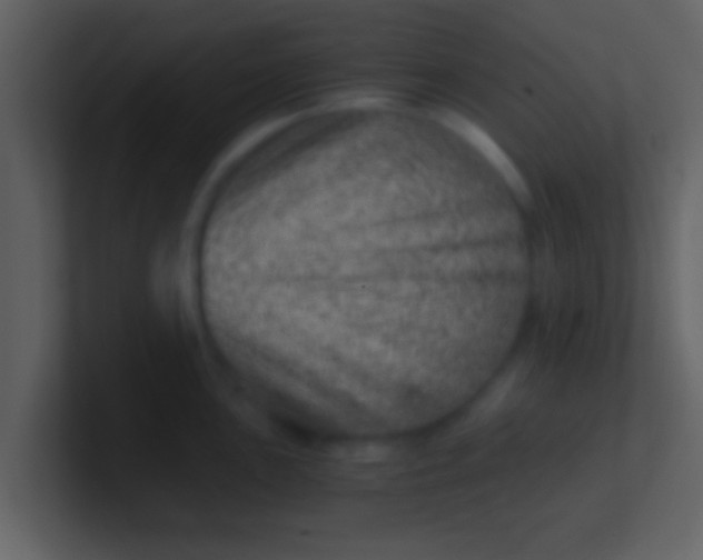 X0000100901051200807081058