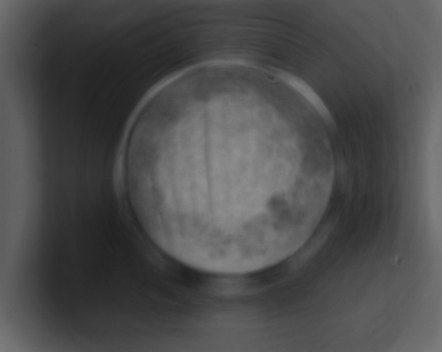 X0000100901052200807081058