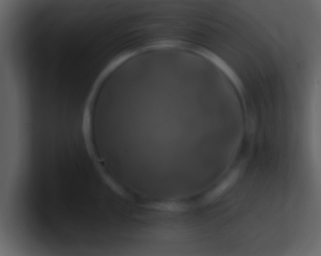 X0000100901053200807081058