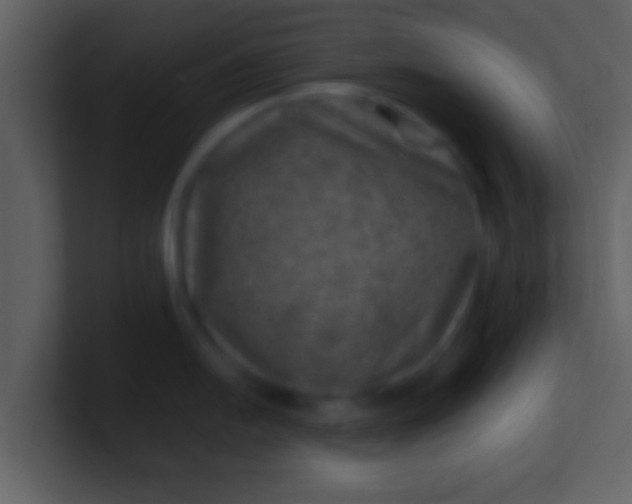 X0000100901054200807081058