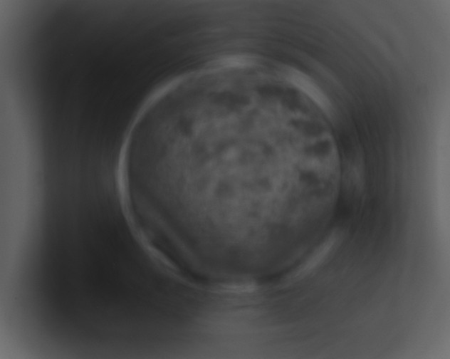 X0000100901055200807081058