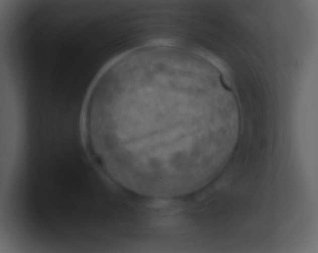 X0000100901056200807081058