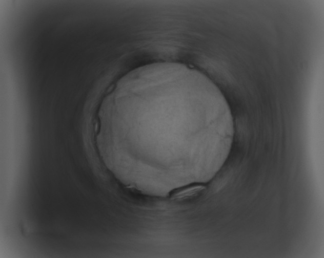 X0000100901057200807081058