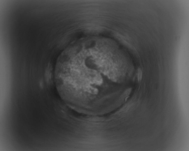 X0000100901059200807081058