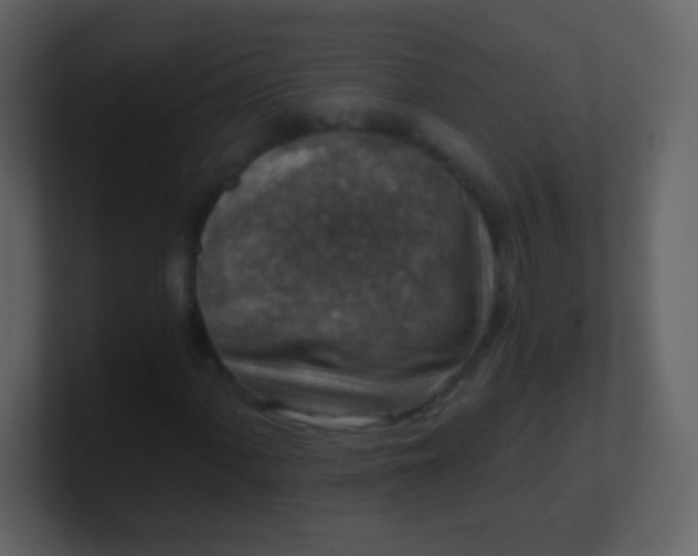 X0000100901060200807081058