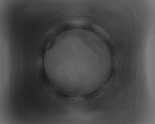 X0000100901061200807081058