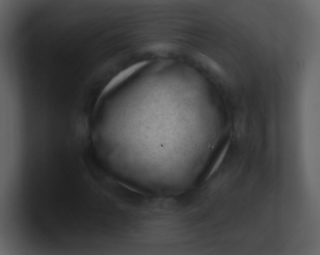 X0000100901062200807081058