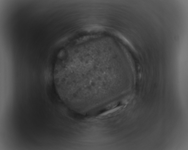 X0000100901063200807081058