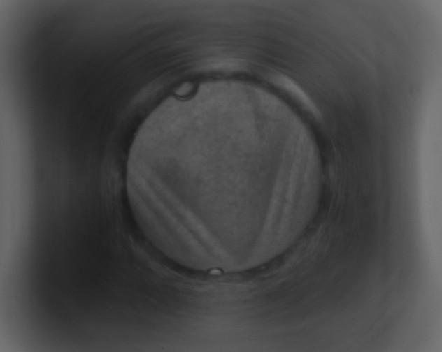 X0000100901064200807081058