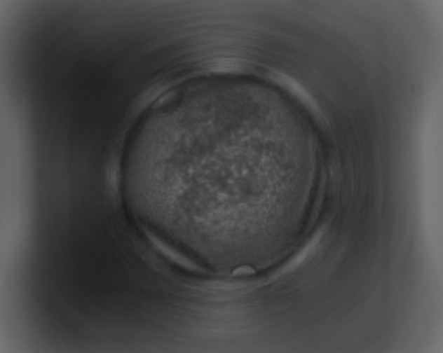 X0000100901065200807081058