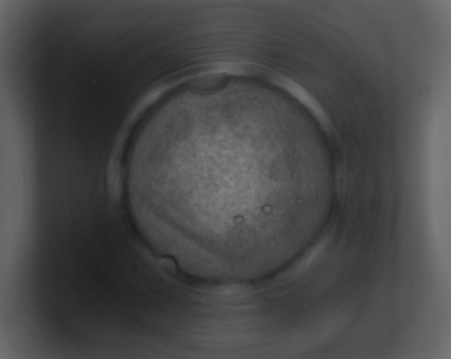 X0000100901067200807081058