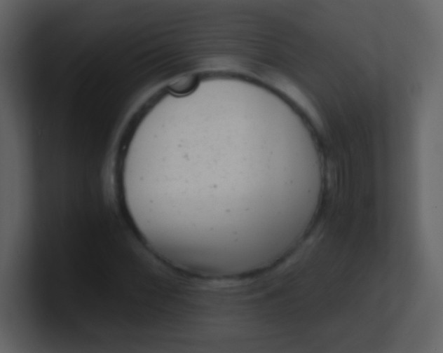 X0000100901068200807081058