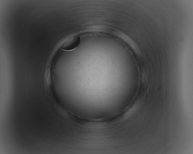 X0000100901069200807081058