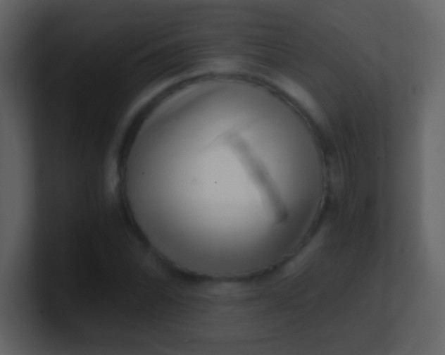 X0000100901070200807081058