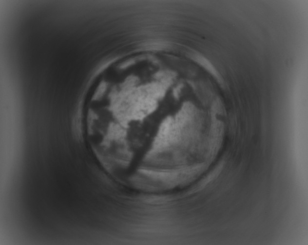 X0000100901071200807081057