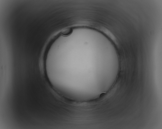 X0000100901072200807081057