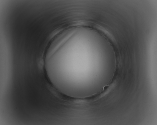 X0000100901073200807081057