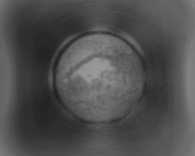 X0000100901076200807081057