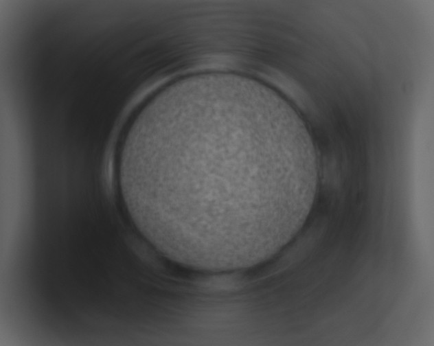 X0000100901078200807081057