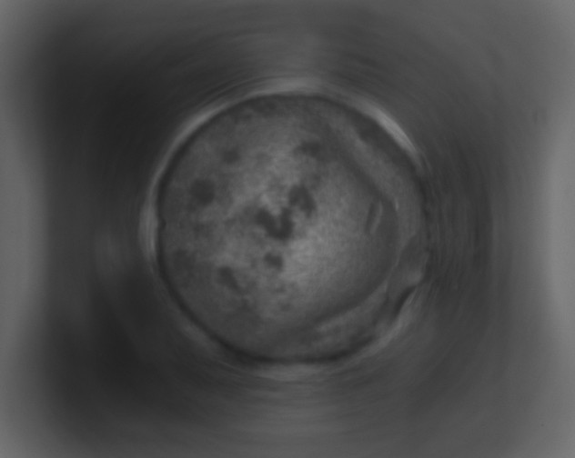 X0000100901079200807081057