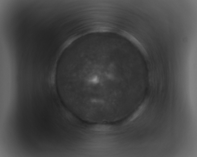 X0000100901081200807081057