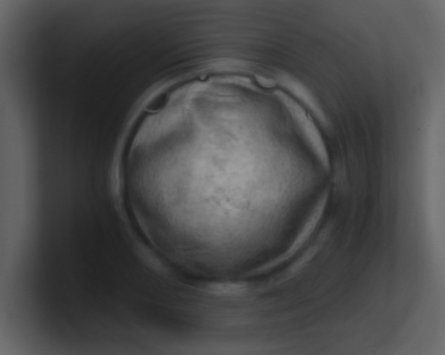 X0000100901082200807081057