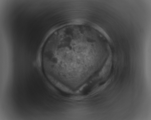 X0000100901083200807081057