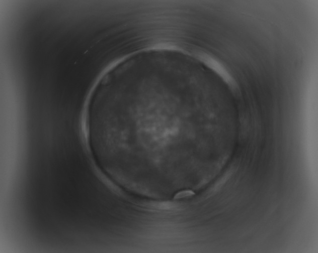 X0000100901084200807081057