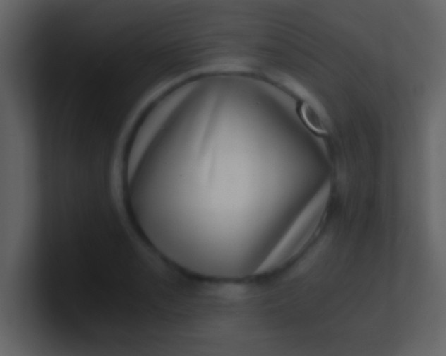 X0000100901085200807081057