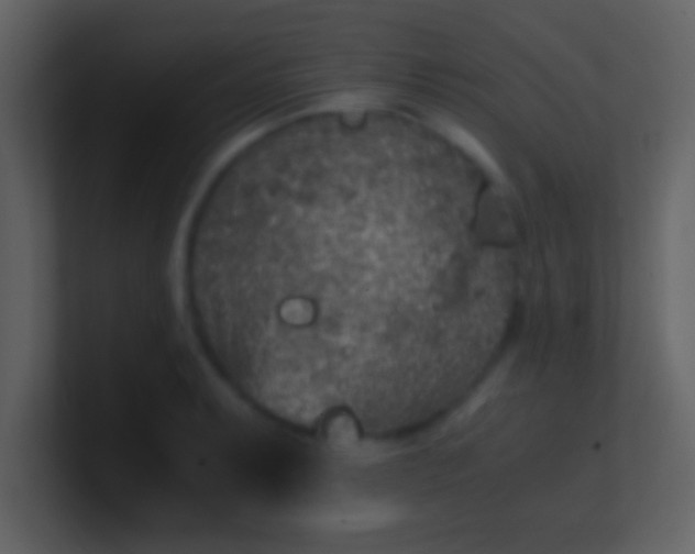 X0000100901087200807081057