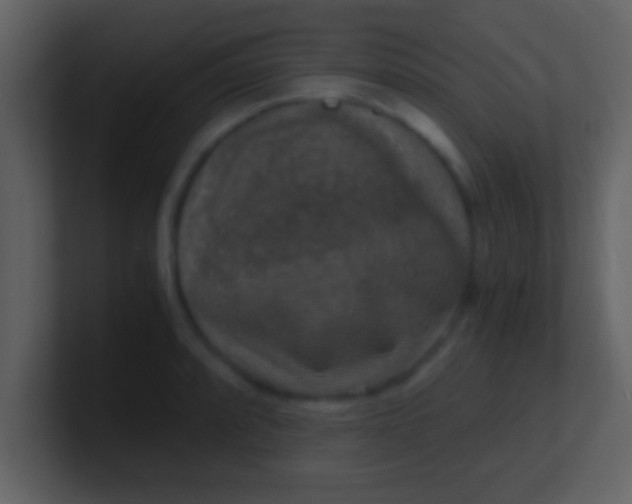 X0000100901088200807081057