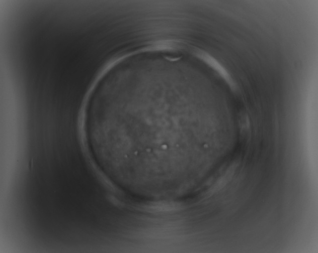 X0000100901091200807081057