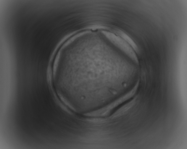 X0000100901092200807081057