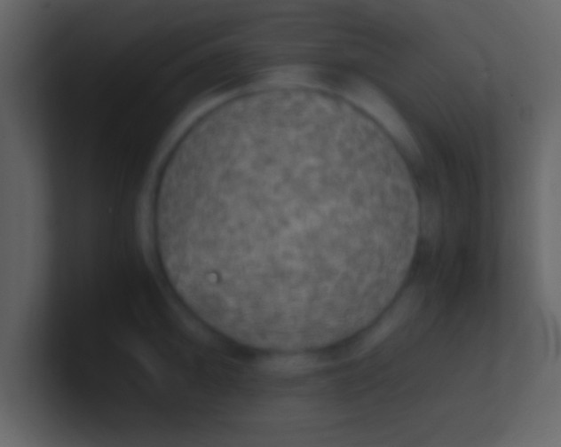 X0000100901094200807081057