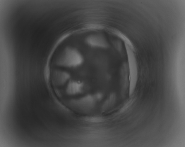 X0000100901095200807081057