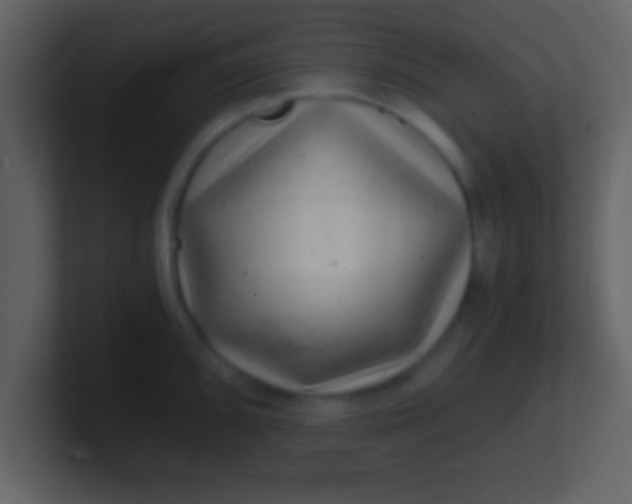 X0000100901096200807081057