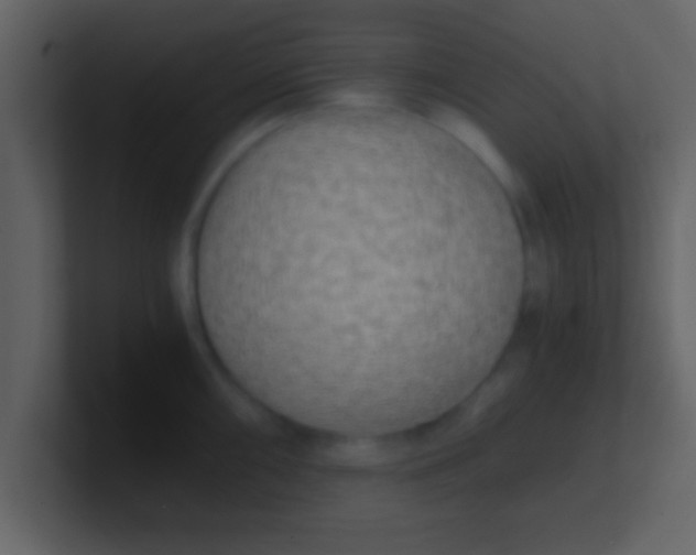 X0000100901098200807081057