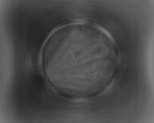 X0000100901099200807081057