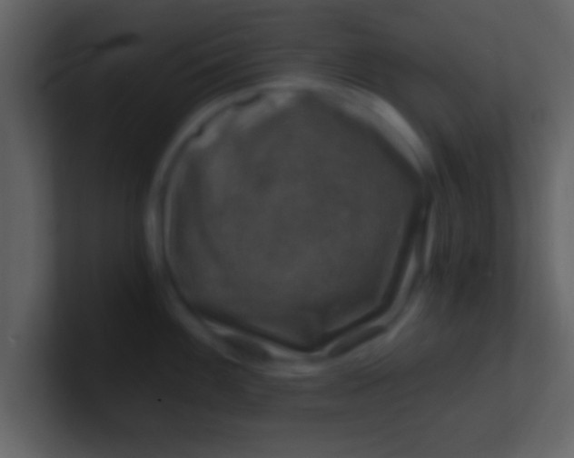 X0000100901100200807081057