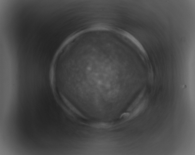 X0000100901101200807081057