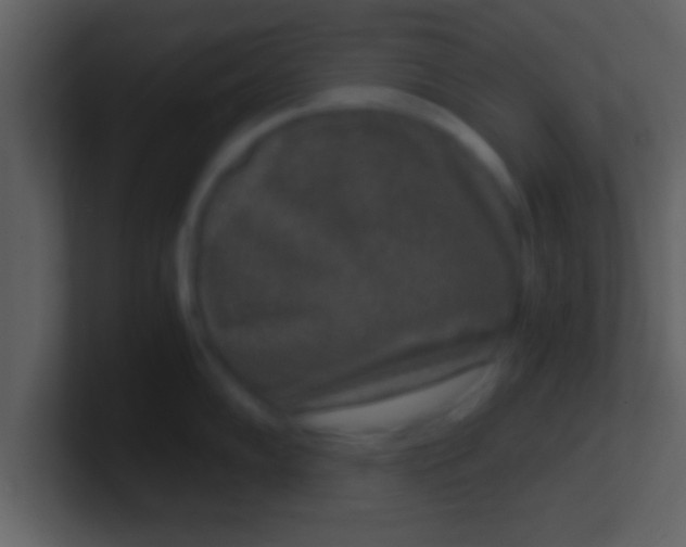 X0000100901102200807081057