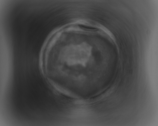 X0000100901104200807081057