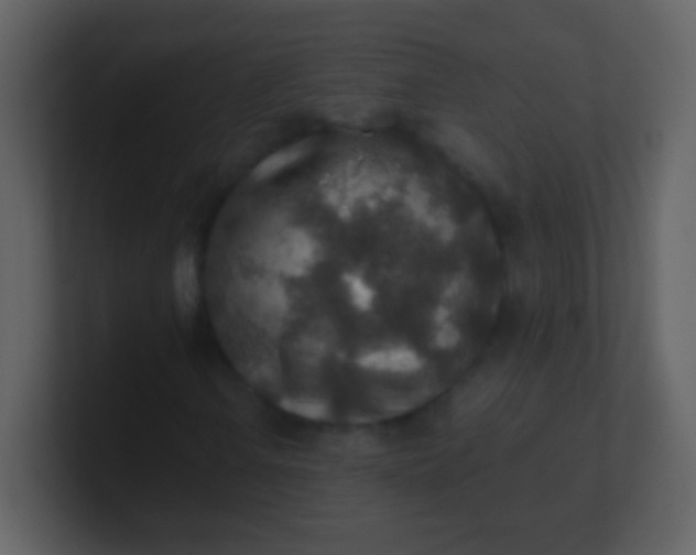 X0000100901106200807081056