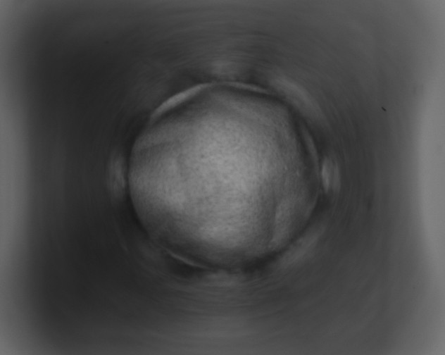 X0000100901107200807081056