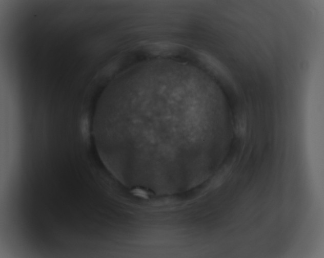 X0000100901108200807081056